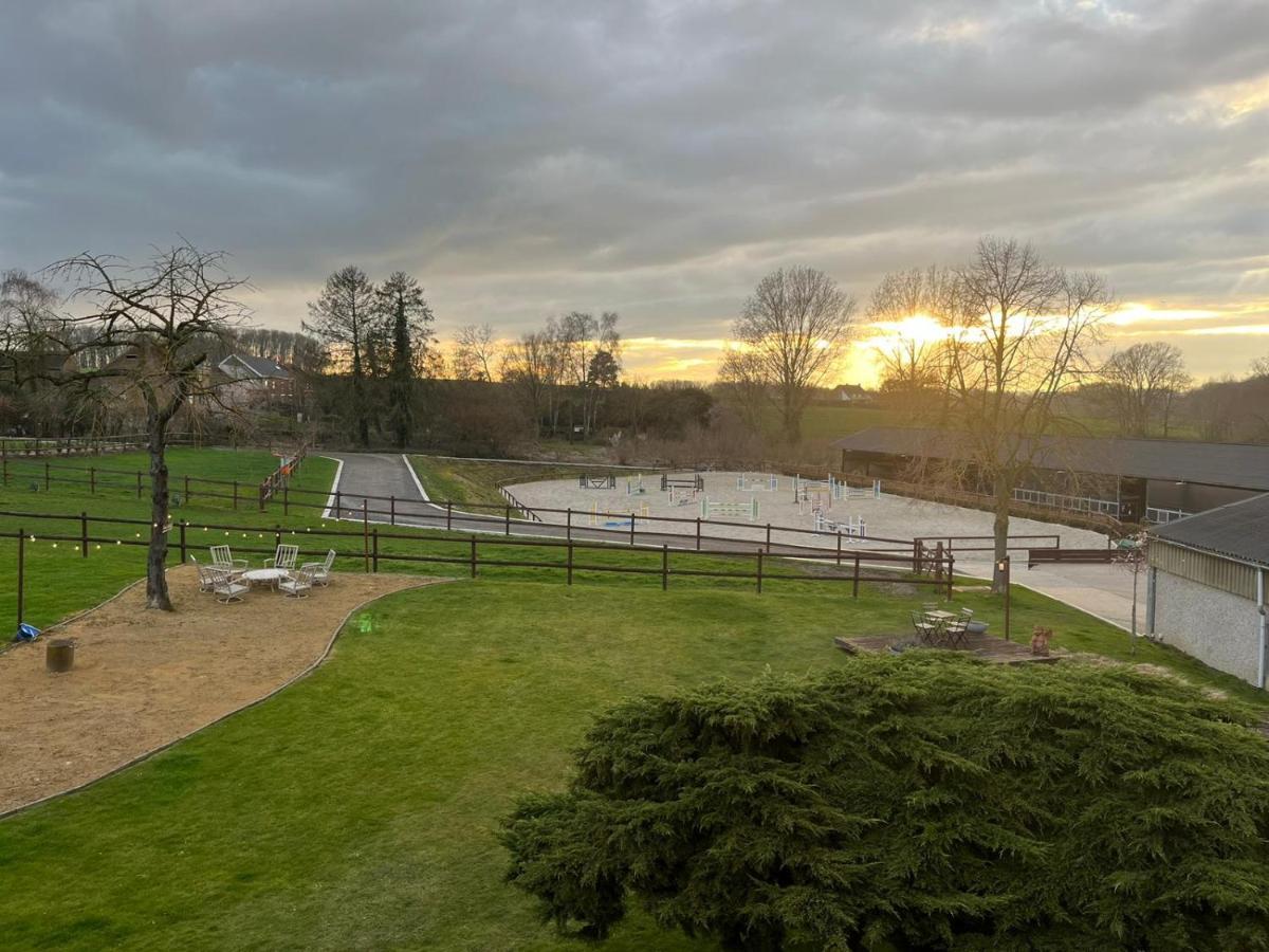 B&B At Haras Petit-Hallet Hannut Buitenkant foto
